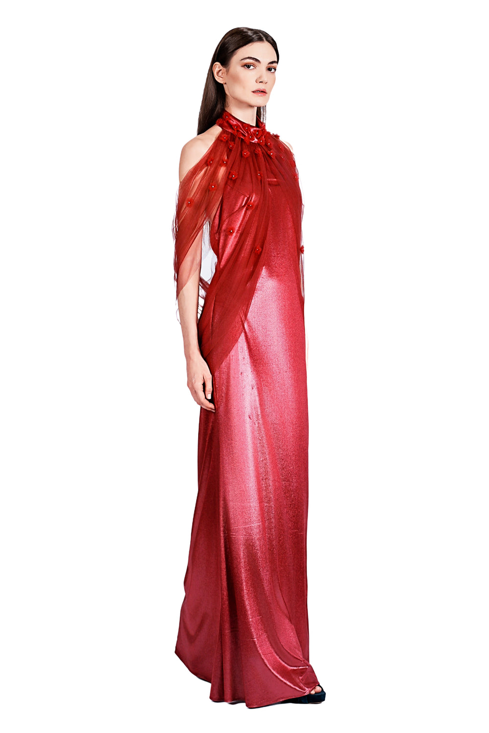 Aglaia Drapery Tulle and Velvet Embroidery Gown