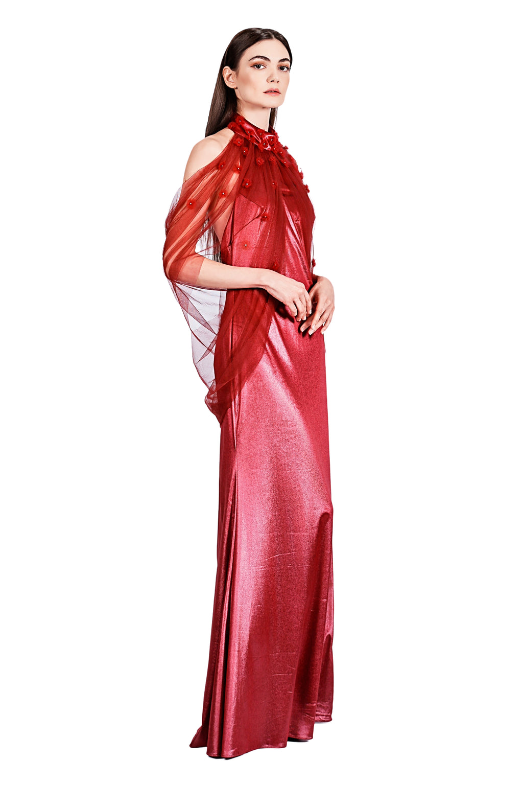 Aglaia Drapery Tulle and Velvet Embroidery Gown