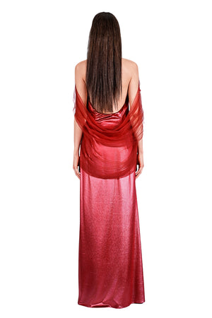 Aglaia Drapery Tulle and Velvet Embroidery Gown