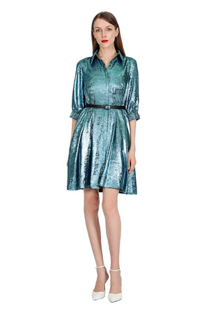 Remi Metallic Shirtdress