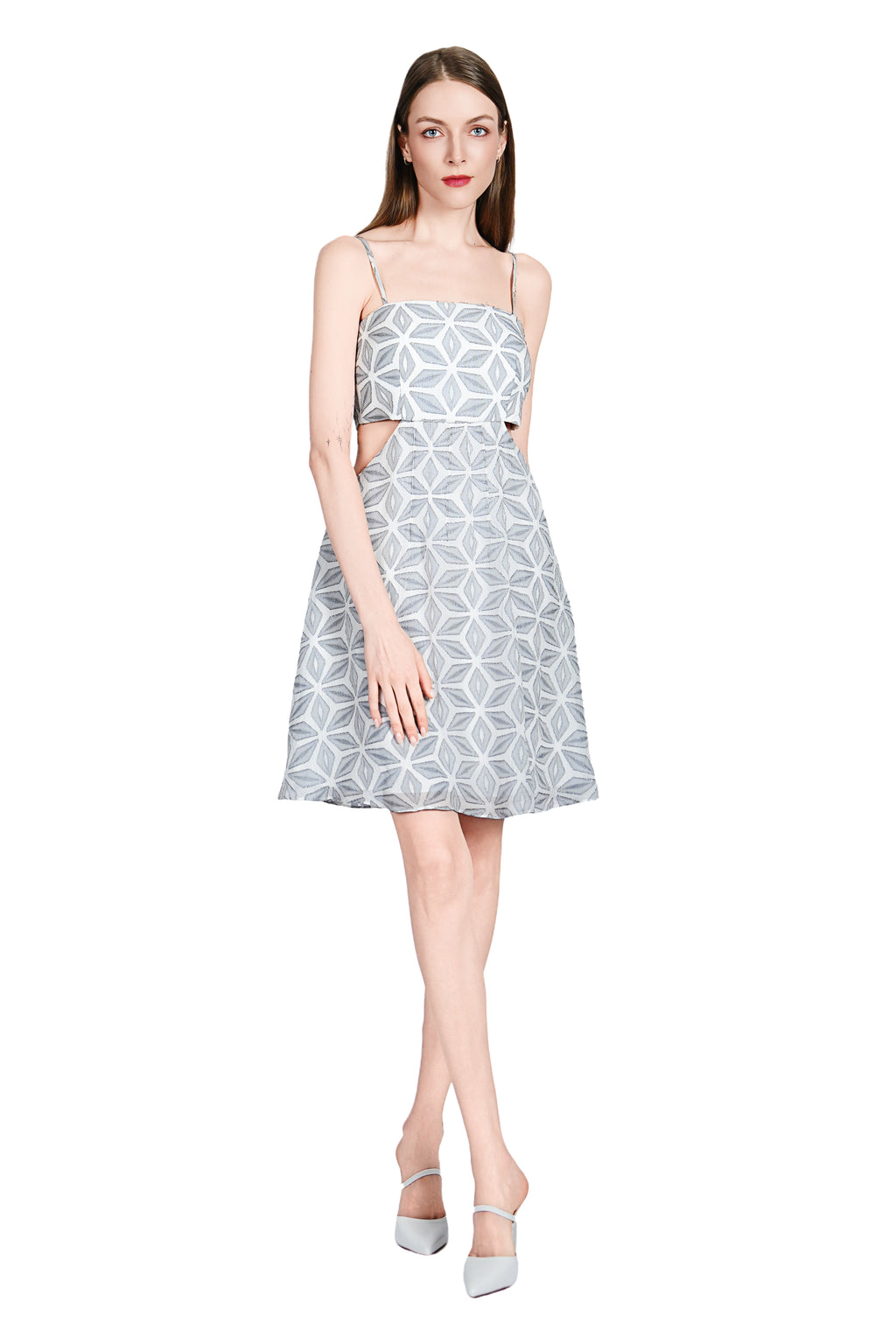 Renia Cutout Dress in Metallic Chiffon Burnout